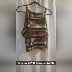 Striped Multicolor Crop Top
